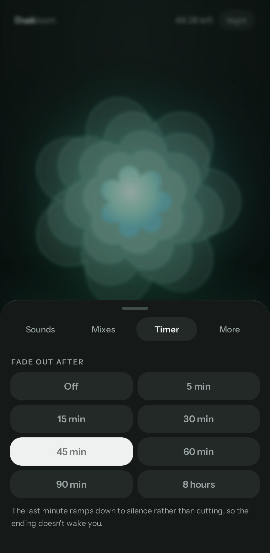 Sleep timer